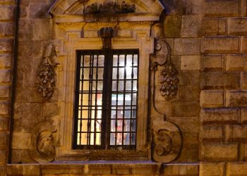 Anatomía tras la ventana