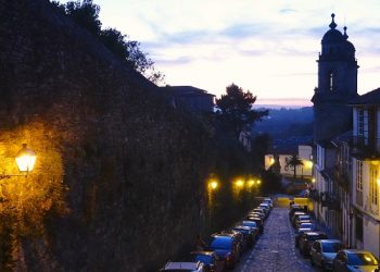 La pared donde crecen las flores