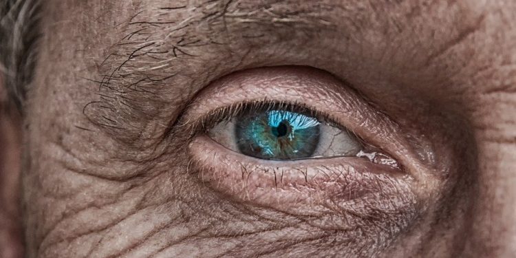 Tratamiento intensivo de choque del fotoenvejecimiento cutáneo con Sesderma