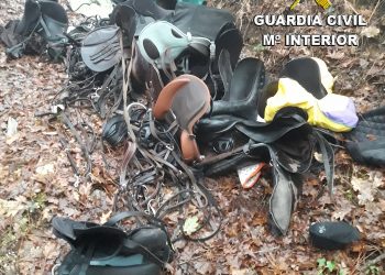 Detenido un vecino de Mos por robar material en un centro hípico