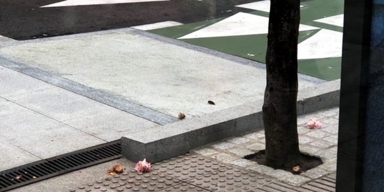 Aún existe el borde traicionero