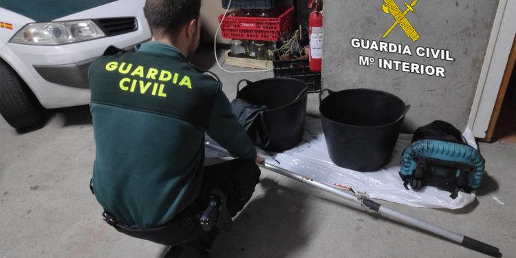 La Guardia Civil intercepta en la playa de Beluso a un furtivo con 15 kilos de sepias