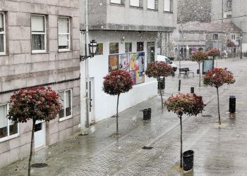 Las primeras nieves del año llegan a A Cañiza
