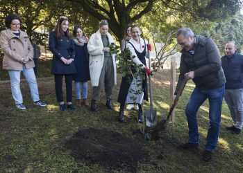 A Deputación de Pontevedra pon en marcha un protocolo de medidas polo coronavirus