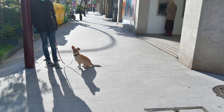 El área sanitaria de Vigo supera por primera vez el millar de positivos aislados en casa