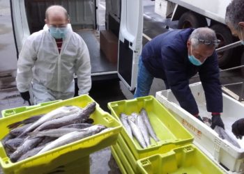Armadores de Marín aportarán 400 kilos de pescado a la semana al Banco de Alimentos