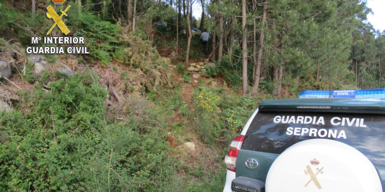 La Guardia Civil sorprende a un vecino de Moaña con colmenas sustraídas en un monte en Meira