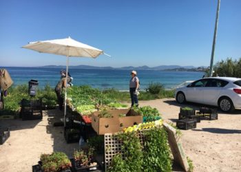 Patos reabre o mercado con 20 postos