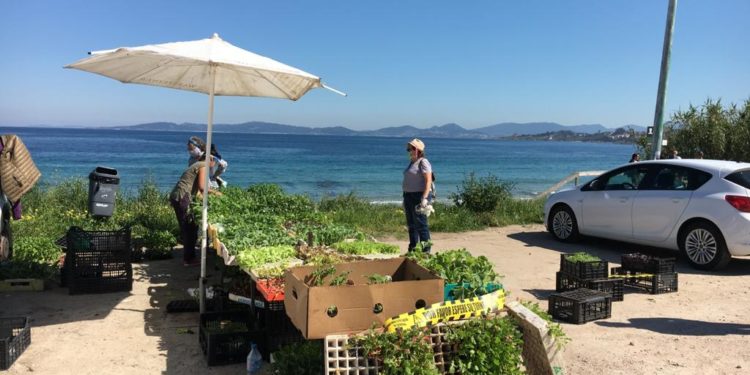 Patos reabre o mercado con 20 postos