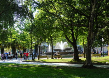 Respetando las normas