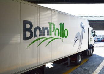 Avigal dona más de 7 toneladas de producto avícola congelado a Cáritas