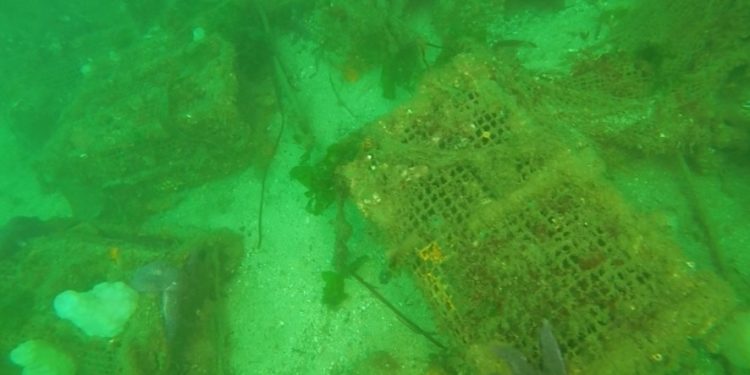Así estaban los fondos del puerto de Vigo antes de retirar 19 toneladas de basura
