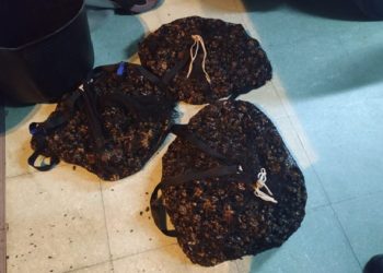 A Policía Autonómica comisa 37 quilos de percebe a varios furtivos na Guarda