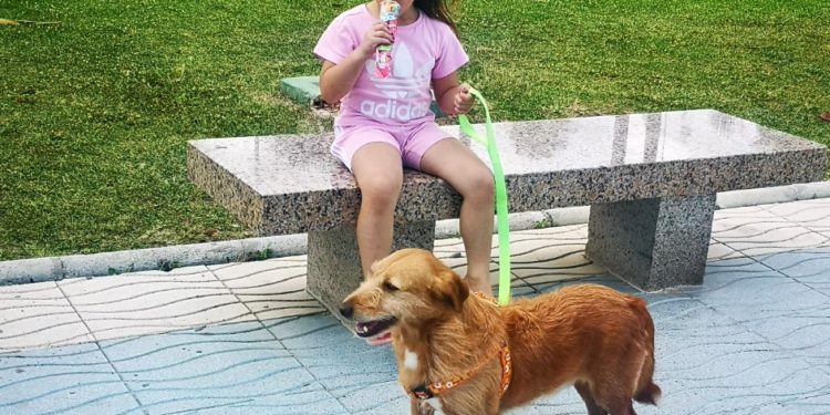 “Apro” e “Coqui”, os avós do CAAN, atopan por fin un novo fogar