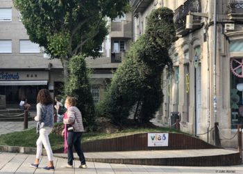 El Dinoseto necesita peluquería