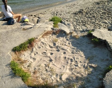 Teis acusa a Costas e o Concello de Vigo de incumprir o “acordo histórico” para mellorar a praia da Punta