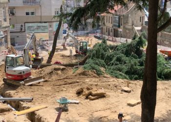 Dos árboles de gran porte se vienen abajo en la Ronda Don Bosco
