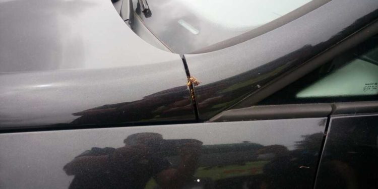 Un conductor de Vigo se encuentra un nido de avispas en el motor al volver a su coche