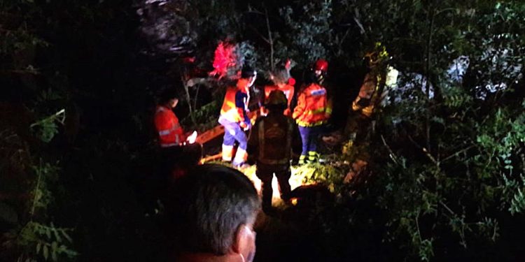 Una joven viguesa, herida de gravedad al caer con su coche por un terraplén en Tui