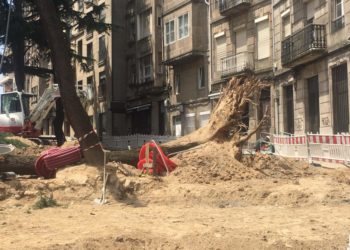 O BNG propón un protocolo de protección do arborado para evitar situacións como a de Don Bosco