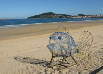 ‘Peixe traga-plástico’ para Praia América