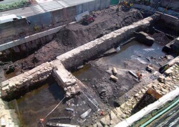 Pontevedra ya cultivaba en el siglo XIII algunas de las uvas autóctonas de la actual Rías Baixas