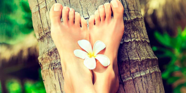 ¡Hongos! Consejos para combatirlos con éxito