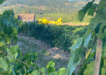 La joven viguesa muerta y sus amigas no fueron localizadas hasta dos horas después del accidente