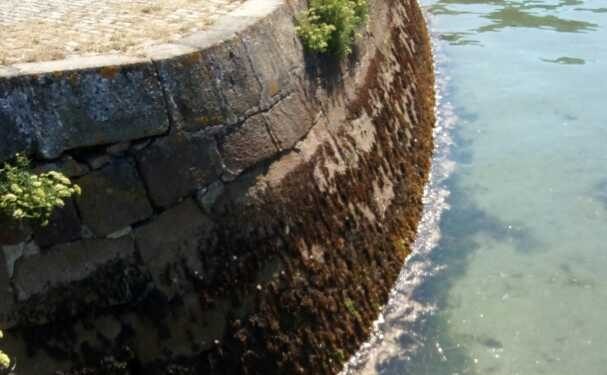 Un vertido de aguas fecales obliga a no recomendar el baño en una playa de Vigo
