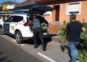 La Guardia Civil desmantela una plantación “indoor” de marihuana en Tui