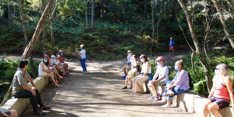 Trinta leccións completas de natureza nos “Bosques terapéuticos”