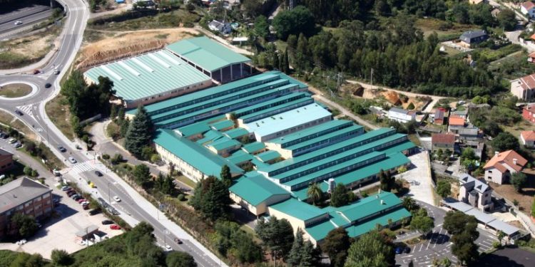 Dos colegios de Vigo, uno de Tomiño y otro de A Cañiza entran en el listado de centros con Covid-19