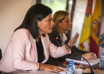 El TSXG rechaza las pretensiones de Mos y Redondela en relación a la Pass Vigo