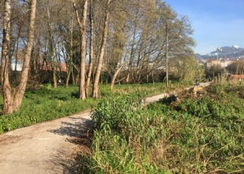 El parricida de Sárdoma acuerda la condena por el crimen de su padre y se declarará culpable