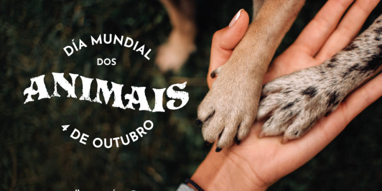 A Deputación súmase ao Día Mundial dos Animais cunha nova campaña de concienciación