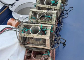 Los guardacostas requisan más de 580 aparejos ilegales de pesca en la Ría de Vigo