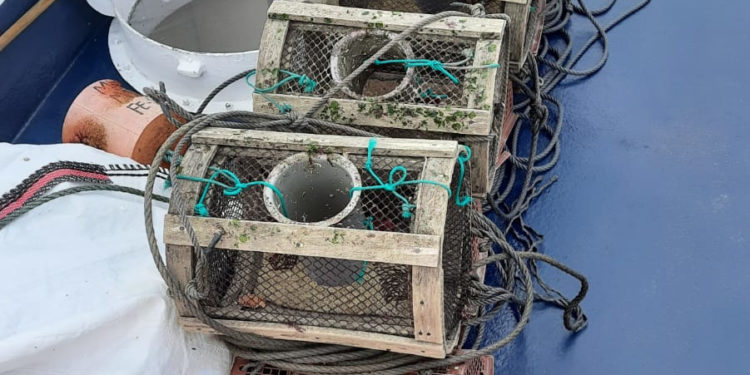 Los guardacostas requisan más de 580 aparejos ilegales de pesca en la Ría de Vigo