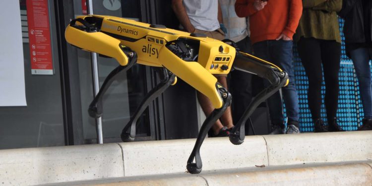 Spot, o robot que lembra a ‘Black Mirror’, amosa as súas capacidades en Vigo