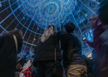 La Navidad más solitaria del árbol gigante de Vigo: el Concello tiene previsto prohibir entrar en él