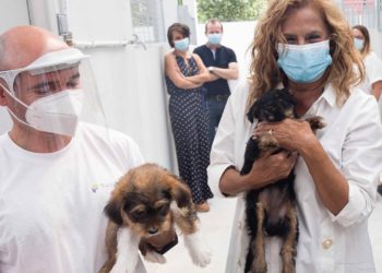 O Centro de Acollida e Protección de Animais bate o récord e supera as 500 adopcións en 2020