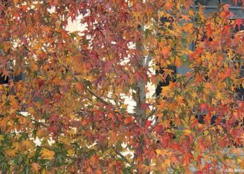 Colores de otoño