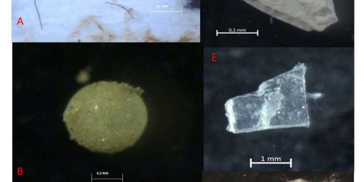 El Oceanográfico de Vigo muestra por primera vez la presencia de microplásticos en sedimentos de las Rías Baixas