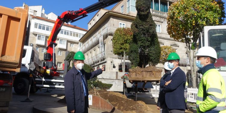 El Dinoseto completa su mudanza