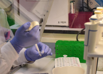 A UVigo ‘capta’ sete novos investigadores distinguidos en España e no estranxeiro