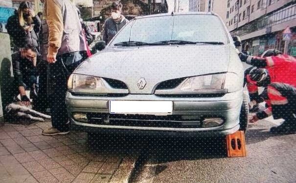 La Policía Local y los bomberos liberan a un perro atropellado en Vigo