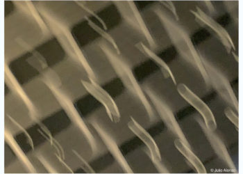 Pedro, nos criticarán por lo que somos