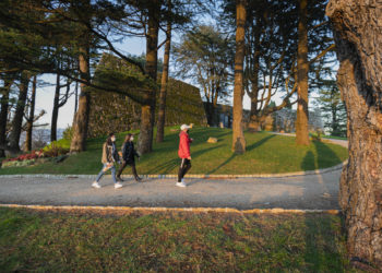 Ecoloxistas en Acción crea un mapa interactivo de los árboles del Parque do Castro de Vigo