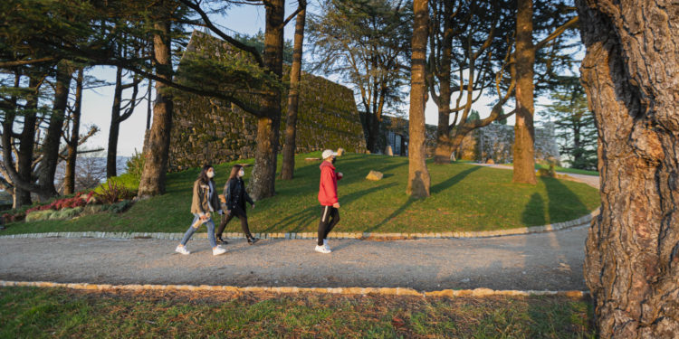 Ecoloxistas en Acción crea un mapa interactivo de los árboles del Parque do Castro de Vigo