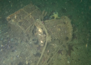La limpieza de fondos en el puerto de Vigo se traslada al Muelle de Trasatlánticos