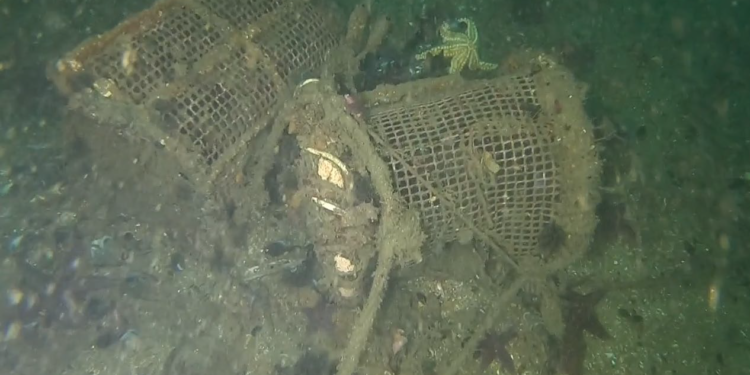 La limpieza de fondos en el puerto de Vigo se traslada al Muelle de Trasatlánticos